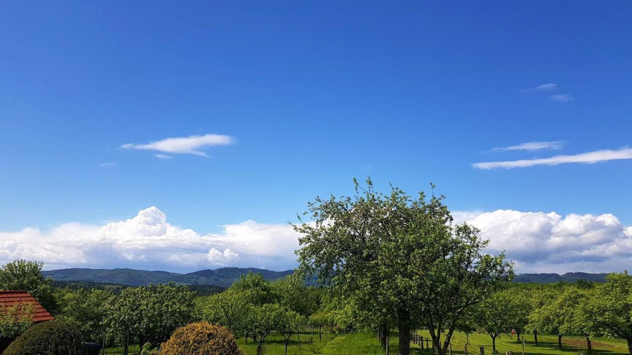 Vila Kotár *