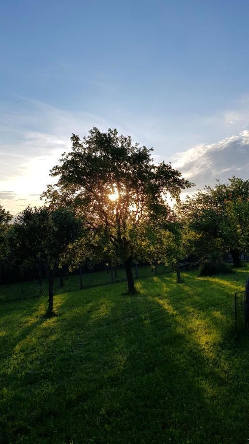 Kotar - 7 Mist Za 1 Cenu Villa *