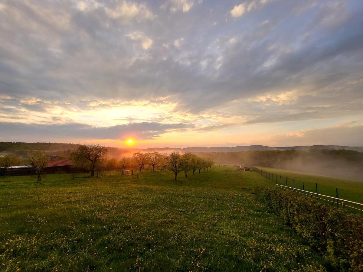 Vila Kotár Haluzice